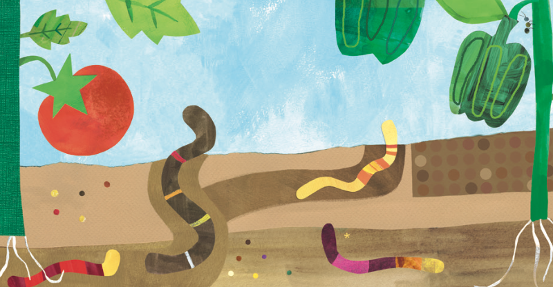 Get ideas About Jaq Jaq Bird's Backyard Bugs Story Time!